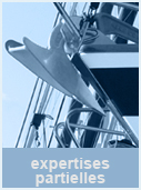 expertises partielles